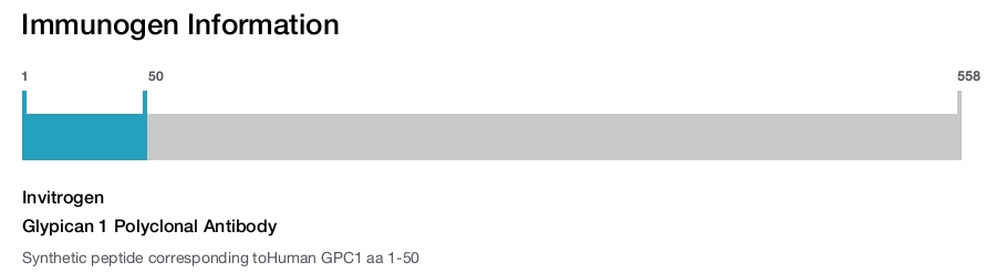 Glypican 1 Polyclonal Antibody