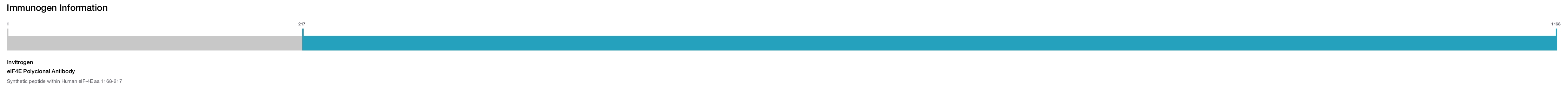 eIF4E Polyclonal Antibody