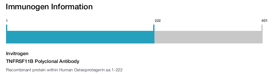 TNFRSF11B Polyclonal Antibody