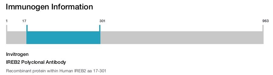 IREB2 Polyclonal Antibody