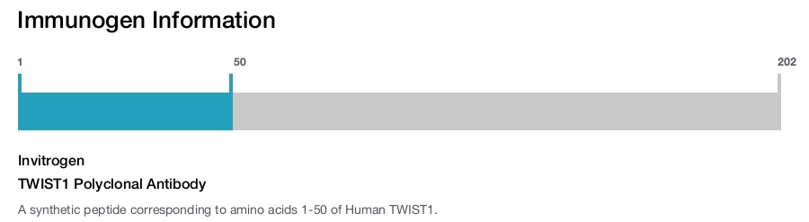 TWIST1 Polyclonal Antibody