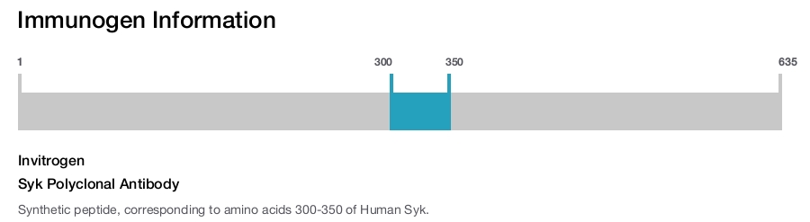 Syk Polyclonal Antibody