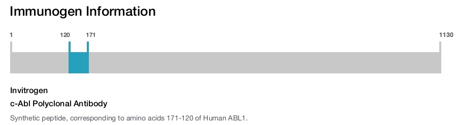 c-Abl Polyclonal Antibody