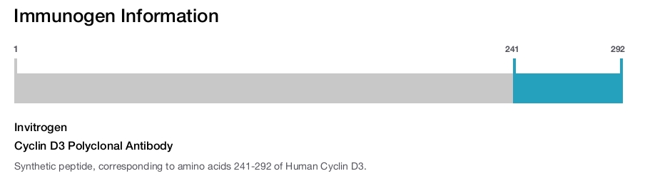 Cyclin D3 Polyclonal Antibody