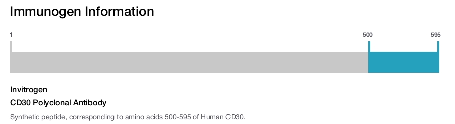 CD30 Polyclonal Antibody