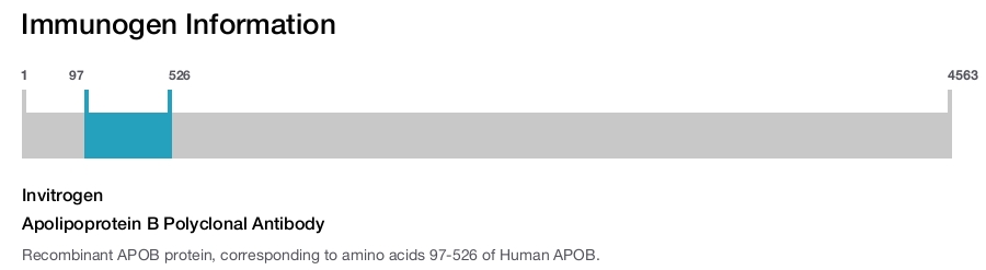 Apolipoprotein B Polyclonal Antibody