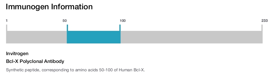 Bcl-X Polyclonal Antibody