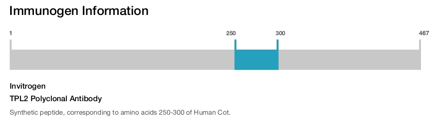 TPL2 Polyclonal Antibody