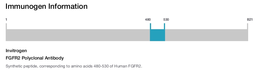 FGFR2 Polyclonal Antibody