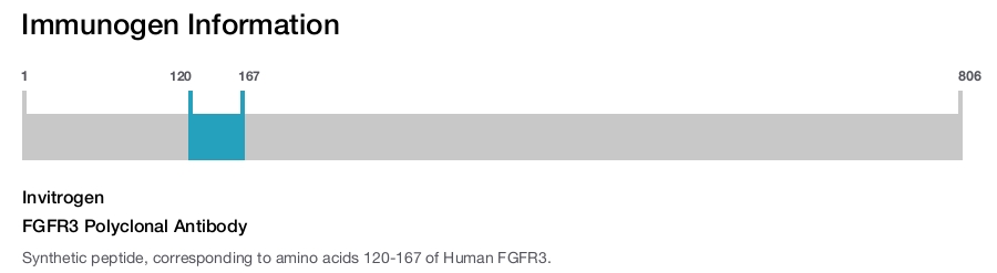 FGFR3 Polyclonal Antibody