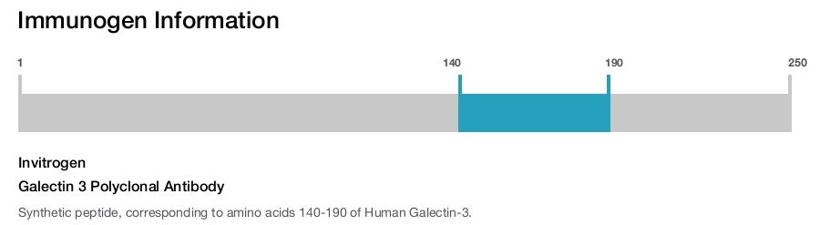 Galectin 3 Polyclonal Antibody