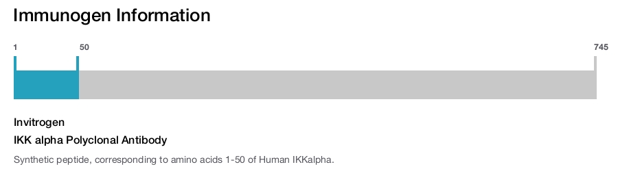 IKK alpha Polyclonal Antibody