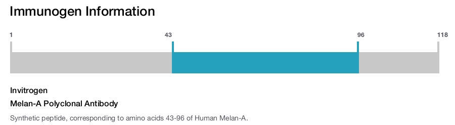 Melan-A Polyclonal Antibody