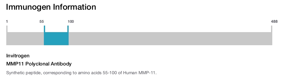 MMP11 Polyclonal Antibody