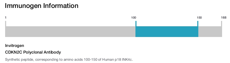 CDKN2C Polyclonal Antibody