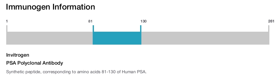 PSA Polyclonal Antibody