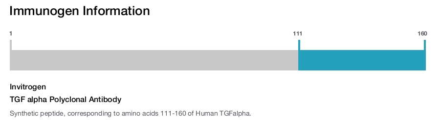 TGF alpha Polyclonal Antibody