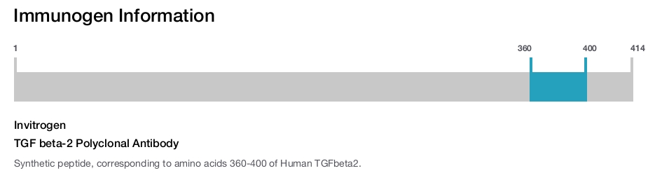 TGF beta-2 Polyclonal Antibody