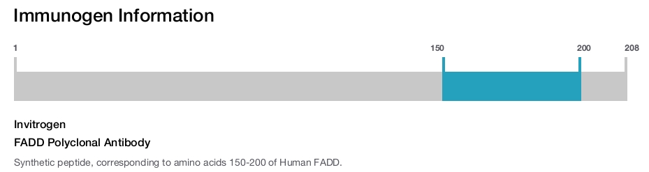 FADD Polyclonal Antibody