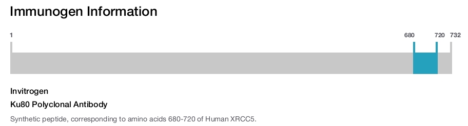 Ku80 Polyclonal Antibody