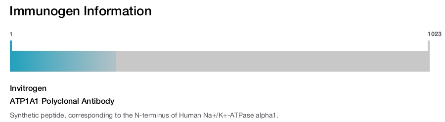 ATP1A1 Polyclonal Antibody