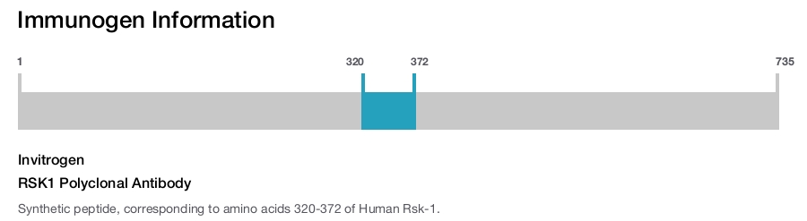 RSK1 Polyclonal Antibody