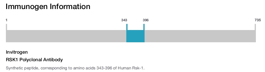 RSK1 Polyclonal Antibody
