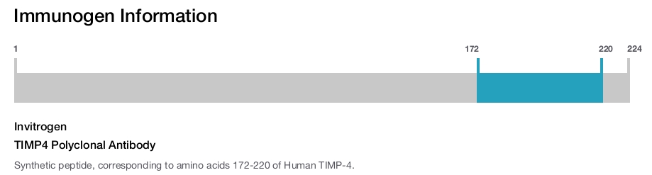 TIMP4 Polyclonal Antibody