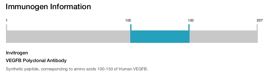 VEGFB Polyclonal Antibody