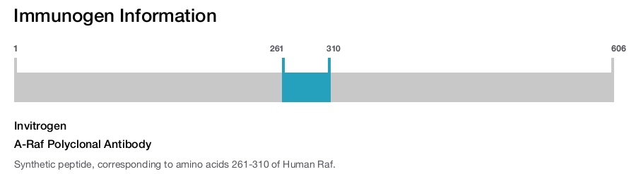 A-Raf Polyclonal Antibody