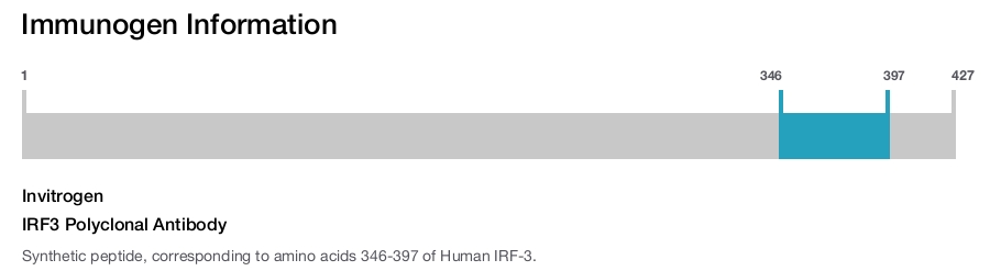 IRF3 Polyclonal Antibody