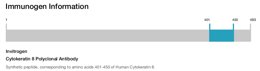Cytokeratin 8 Polyclonal Antibody
