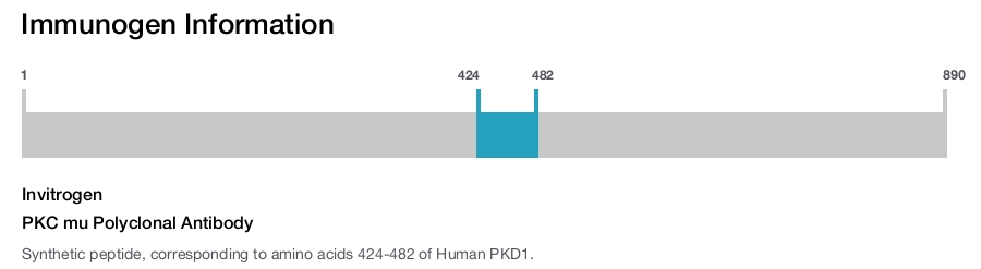 PKC mu Polyclonal Antibody
