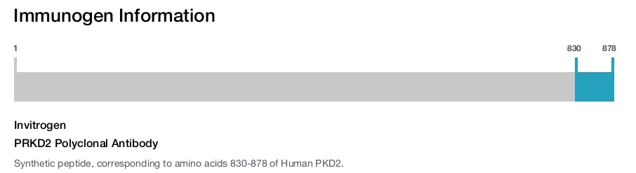 PRKD2 Polyclonal Antibody