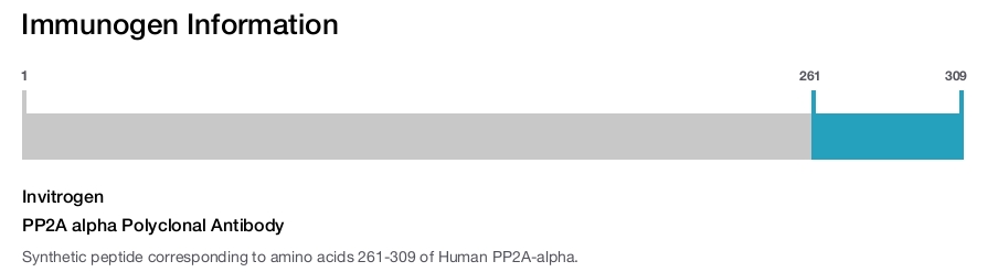 PP2A alpha Polyclonal Antibody