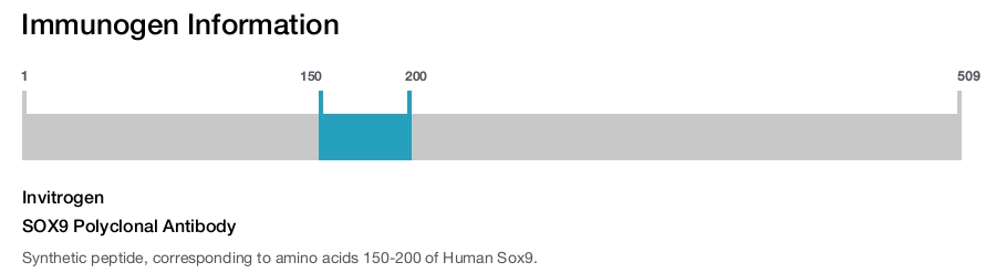 SOX9 Polyclonal Antibody