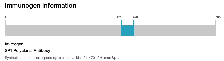 SP1 Polyclonal Antibody