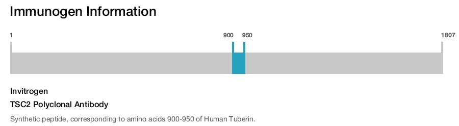 TSC2 Polyclonal Antibody