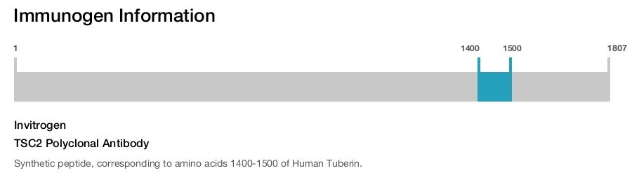 TSC2 Polyclonal Antibody