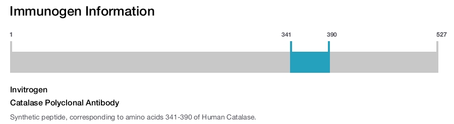 Catalase Polyclonal Antibody