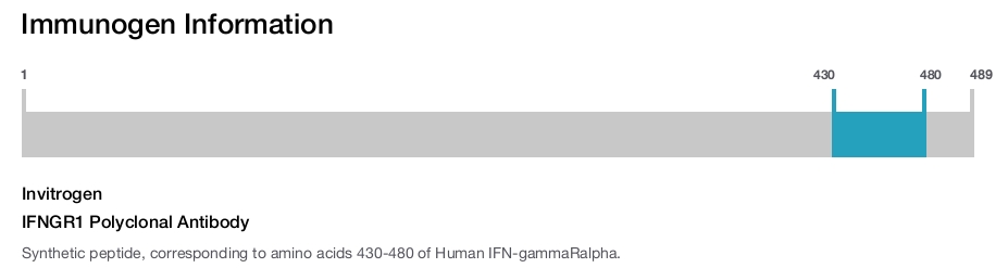 IFNGR1 Polyclonal Antibody