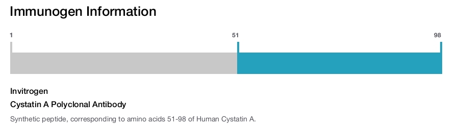 Cystatin A Polyclonal Antibody
