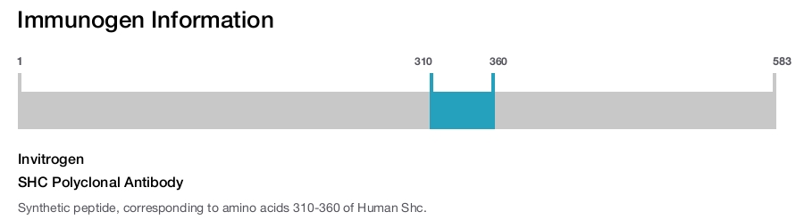SHC Polyclonal Antibody