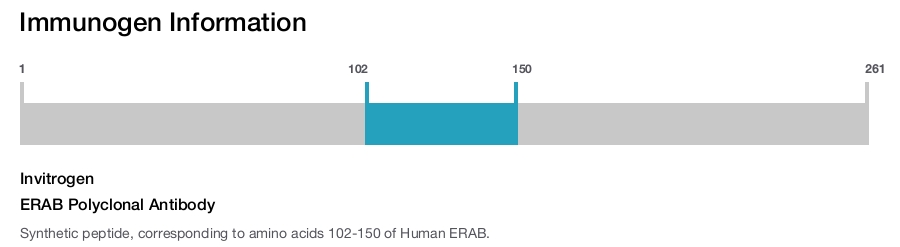 ERAB Polyclonal Antibody