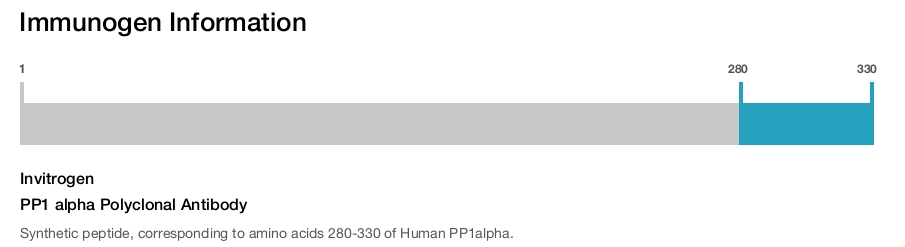 PP1 alpha Polyclonal Antibody