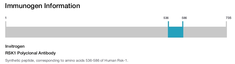 RSK1 Polyclonal Antibody