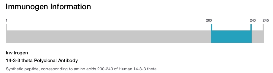 14-3-3 theta Polyclonal Antibody