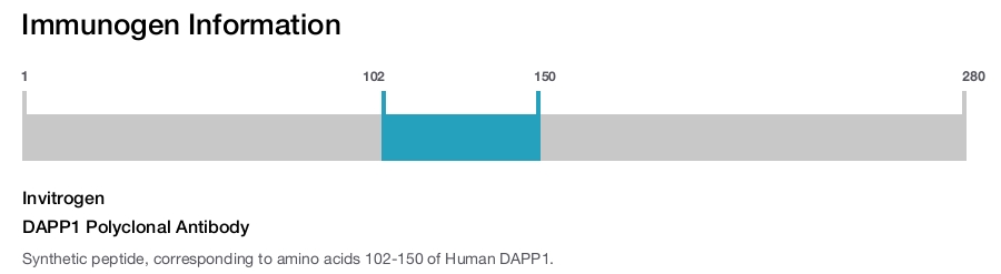 DAPP1 Polyclonal Antibody