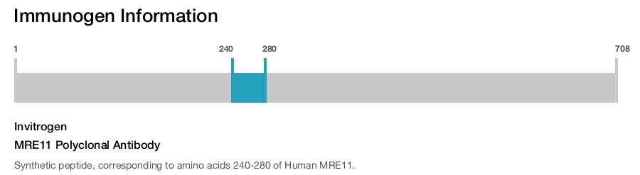 MRE11 Polyclonal Antibody