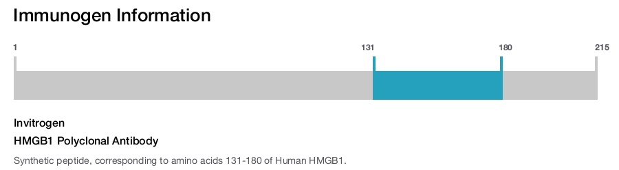 HMGB1 Polyclonal Antibody